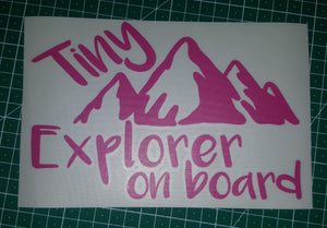 Tiny Explorer On Board