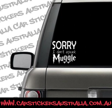 Sorry, I Don't Speak Muggle